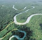 Sobre la Amazonia