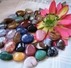 Gemoterapia y esencias florales