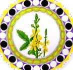 Los mandalas de las Flores de Bach
