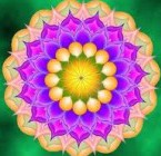 Flores de Bach expresadas en Mandalas