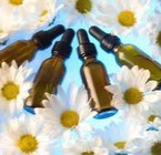 Los remedios florales como ayuda para sobrevivir en estos tiempos de crisis