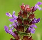 Self Heal