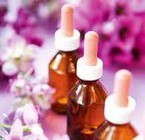 Una Terapia Floral Integrativa – 1ra parte