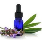 Una Terapia Floral Integrativa- Última parte
