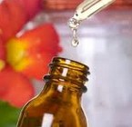 “Las esencias florales para sanar el dolor de cuerpo y alma”- Última parte