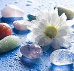 Terapia Floral y Gemoterapia como alternativa de tratamiento para el Estrés en personalidades tipo A