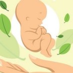 9 Meses de aprendizaje