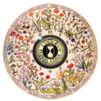 Pequeños grandes sistemas de sanación. Esencias del Reloj Floral de Linneo