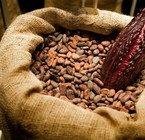 Cacao (Set 2)