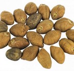 Ololiuhqui (Set 1)