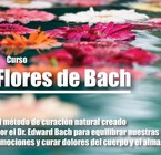Curso: “Flores de Bach”