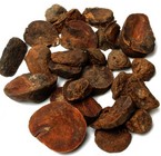 Kola Nut (Set 1)