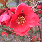 Quince – Poder y amor –