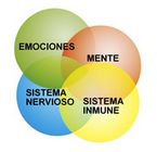 El Sistema Inmunológico y las emociones – 1º Parte