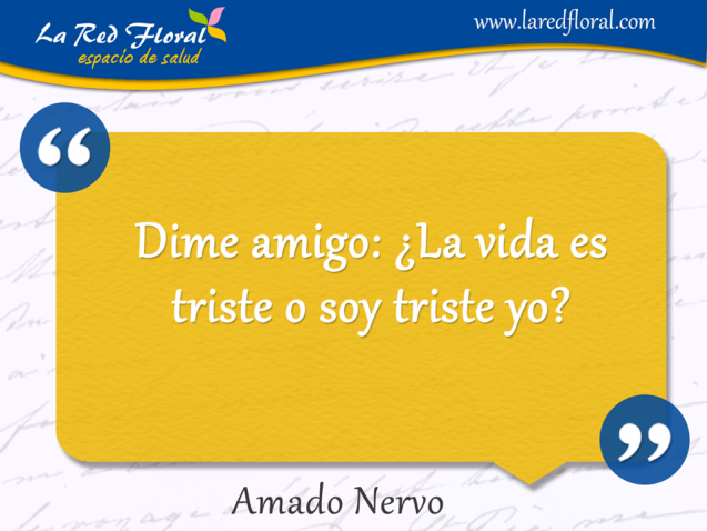 Dime amigo, ¿ la vida es triste . . .