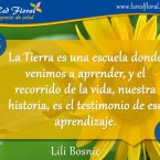 La tierra es una escuela donde venimos a aprender y . . .
