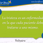 La tristeza es una enfermedad en la que cada paciente . . .