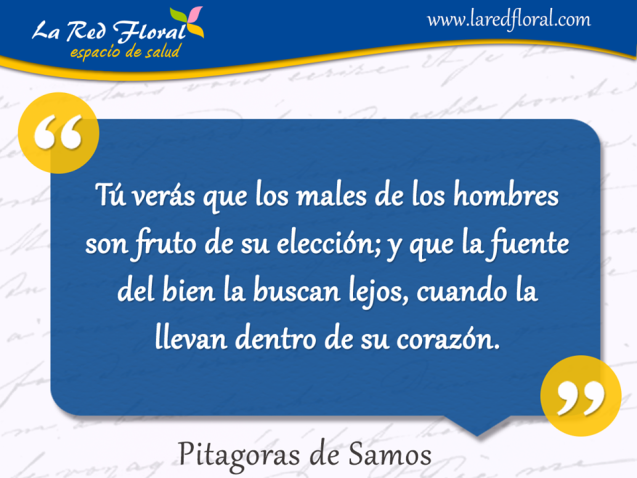 Tu verás que los males de los hombres son fruto de su elección . . .