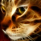 La energía de los gatos.