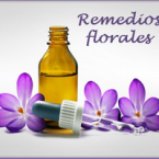 Las respuestas a los remedios florales 1era. Parte