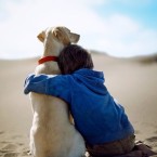 La función energética de los perros