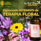 DIPLOMADO DE FLORES DE BACH «INTENSIVO» 1 FIN DE SEMANA AL MES