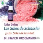 Taller Online Las Sales de Scüssler