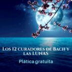Los 12 Curadores de Bach y Las Lunas
