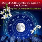 Los 12 Curadores de Bach y Las Lunas