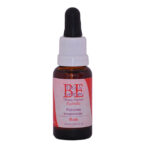 Patrones Ancestrales – Boab-