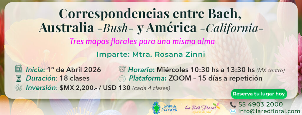 LCP CARRUSEL correspondencia