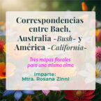 Correspondencias entre Bach,  Australia -Bush- y América -California