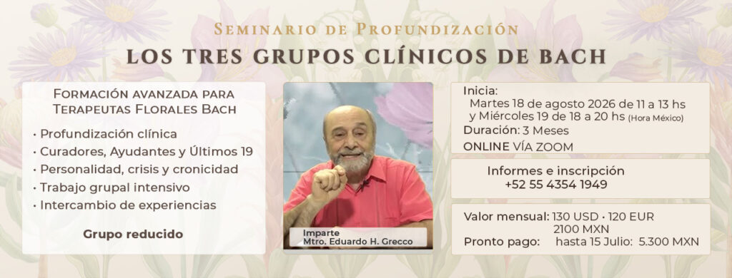 curso eduardo LCP CARRUSEL