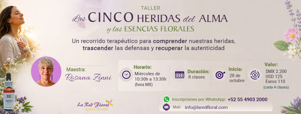 LCP CARRUSEL TALLER Las Cinco Heridas del Alma y las Esencias Florales