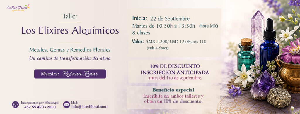LCP CARRUSEL taller Los Elixires Alquímicos